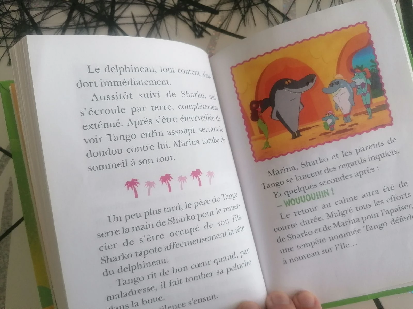 Livro Zig & Sharko – photo 6
